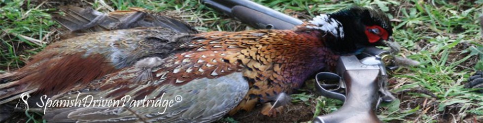 spanishdrivenpartridge - pheasant hunting in spain