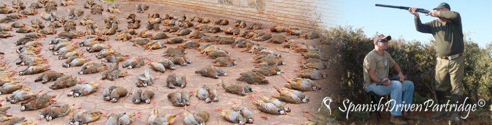spanishdrivenpartridge - red-legged partridge hunting in spain