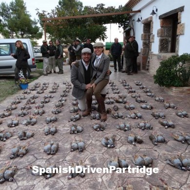 Spanishdrivenpartridge- Red-legged partridge driven shooting in Spain
