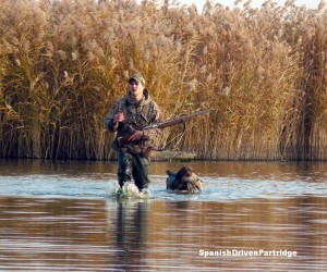 spanishdrivenpartridge - duck hunting in spain