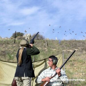 Spanishdrivenpartridge - Red-legged partridge driven shooting in Spain