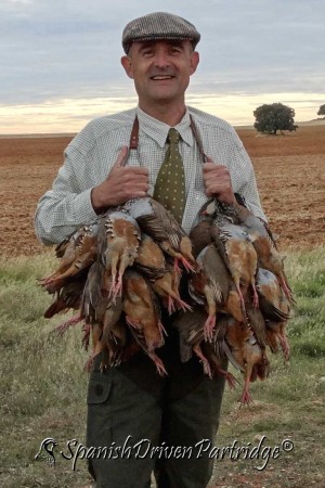 Red-legged partridge driven shooting in Spain